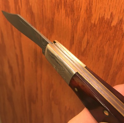 backsprings2.jpg