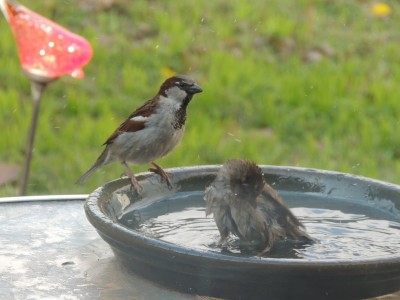 DSCN6208.JPG