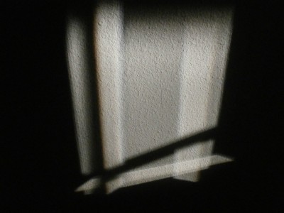 P1300041.JPG