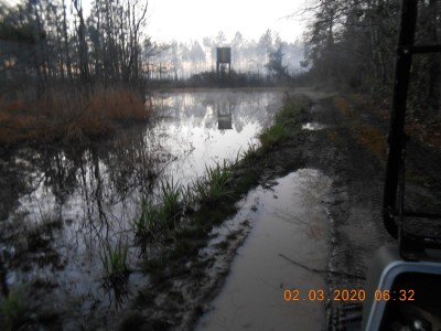 Wet, boggy road beside the pond by the shooting house