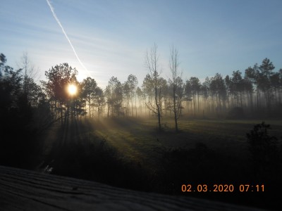 Sun up, fog is burning off and a contrail in the blue sky