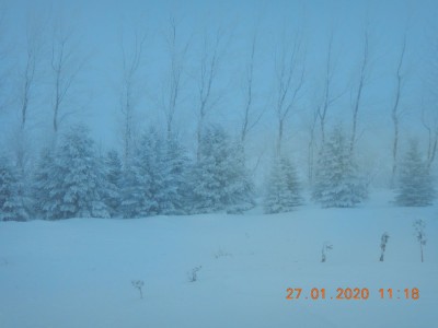 DSCN2581.JPG