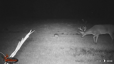 This one needs to show up during daylight.