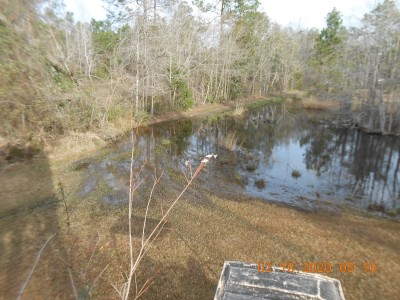 016.JPG (327.94 KiB) Viewed 2245 times 3 Ibis landed next to the deer stand