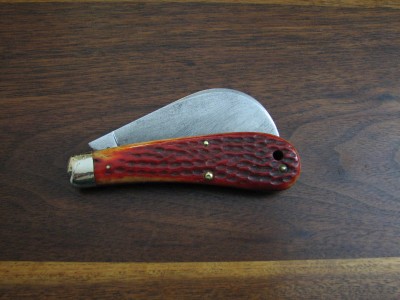 Red Bone XX 004.JPG