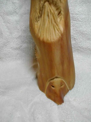 DSCN4655.jpg