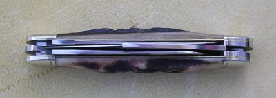 IMGP8504.JPG