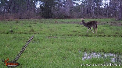 According to the time stamp he is close behind her.