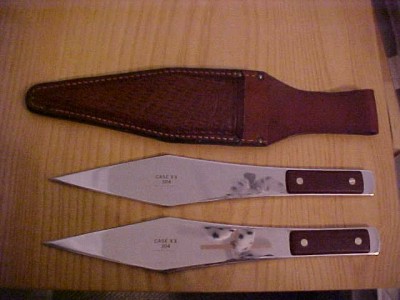 Case304Pair.JPG