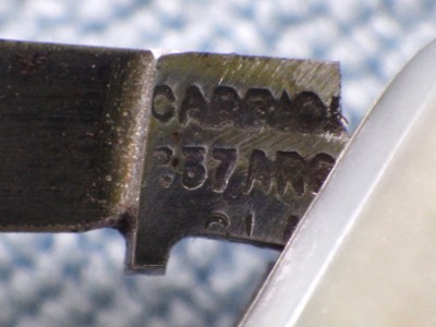 RIMG2029.JPG