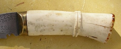 IMGP8601.JPG