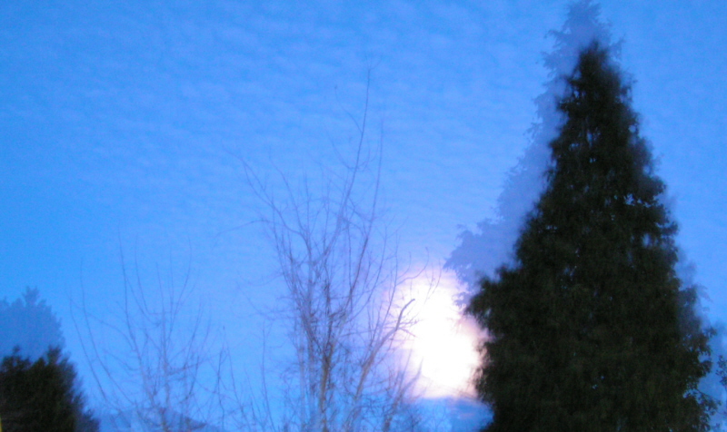 PICT0002.JPG
