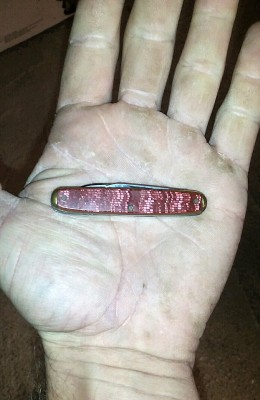 This tiny one isn't quite snakeskin but I still count it.