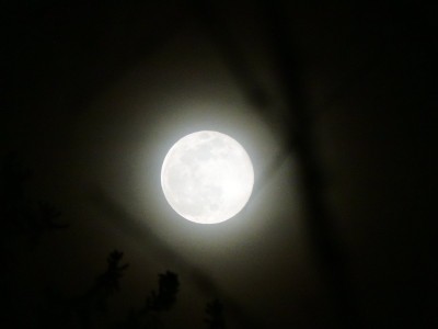 DSCN2909.JPG