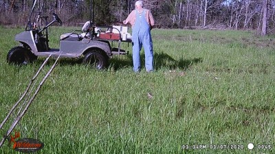 Decided to dump some deer bones in front of a game camera.