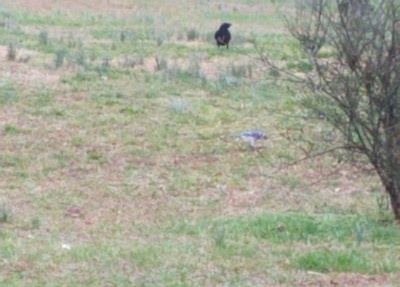 20200315_193343.jpg