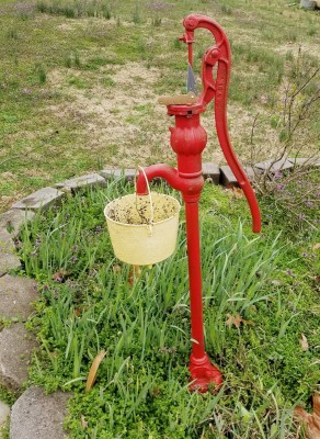 20200316_185009.jpg