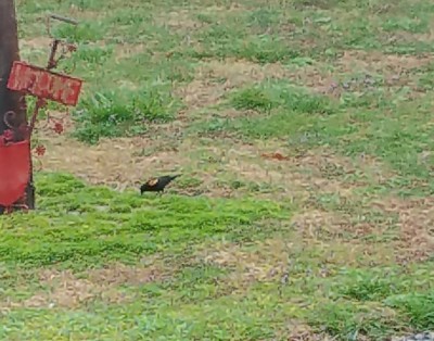 20200317_095526.jpg