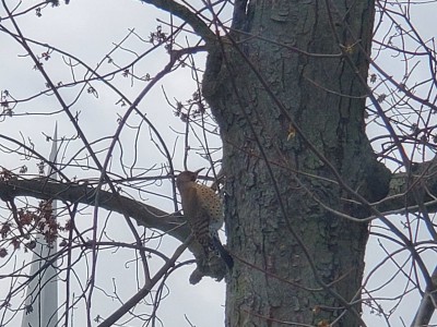 20200322_132843.jpg