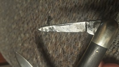 20200322_230844.jpg