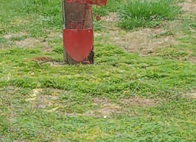 20200325_213756.jpg