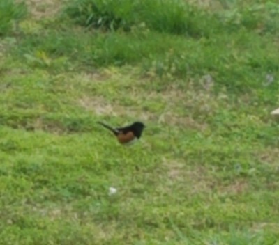 20200401_093208.jpg