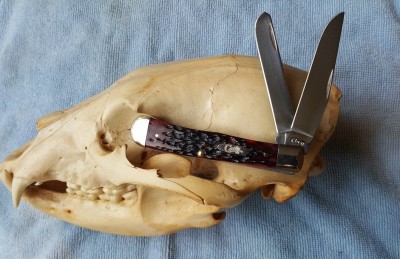 Crimson Peach Seed Jigged Bone 6254.jpg