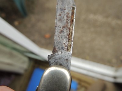 DSCN6264.JPG
