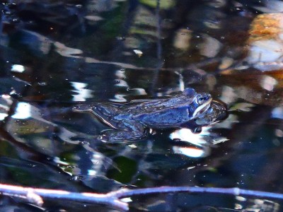DSCN3013.JPG