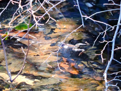 DSCN3019.JPG