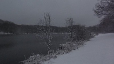 DSCF3001 (1).JPG