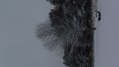 DSCF3011.JPG