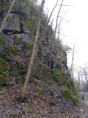 IMG_20200328_114503554.jpg