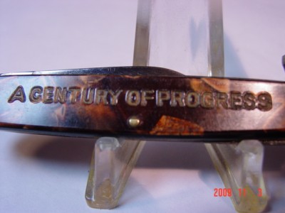 946 sunburst 922MP tiger chase 025.jpg