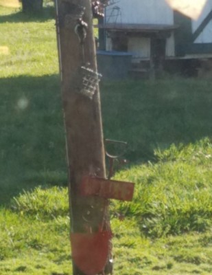 20200410_102715.jpg