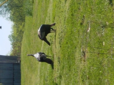 20200410_101505.jpg