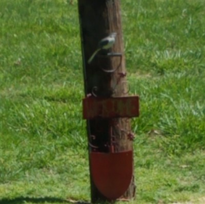 20200410_182700.jpg