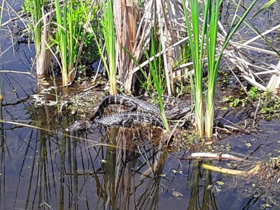 20200408_133854.jpg