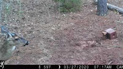 IMG_0154 (2).JPG