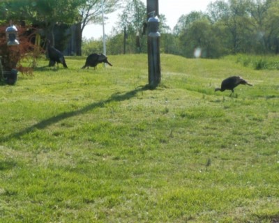 20200411_093059.jpg