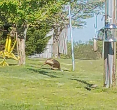 20200418_161745.jpg
