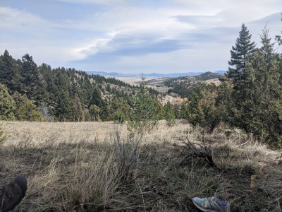 aapkhomestead.jpg