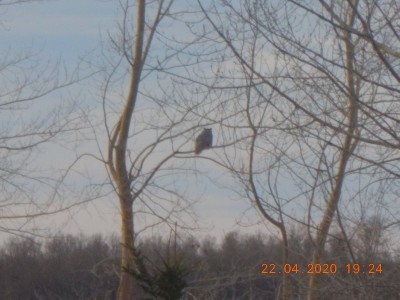 DSCN2958.JPG