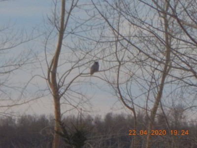 DSCN2960.JPG