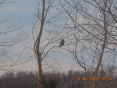 DSCN2959.JPG
