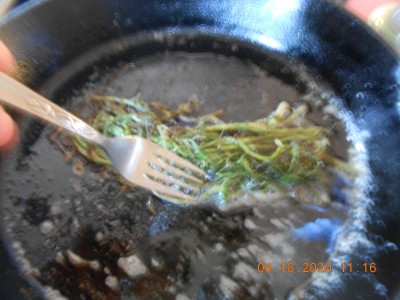The shrank just like mustard greens