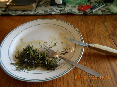 Finished product, everyone said they were tasty!