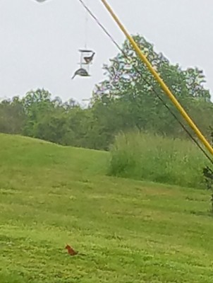 20200508_102714.jpg