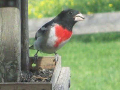 IMG_6807.JPG