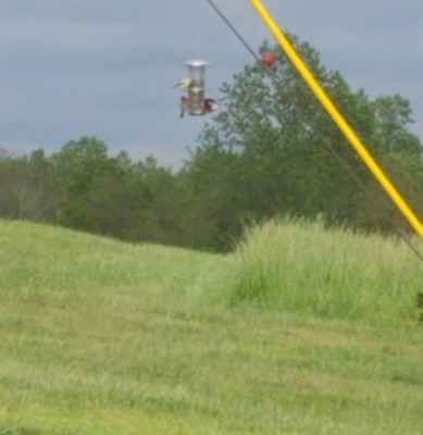 20200508_143736.jpg